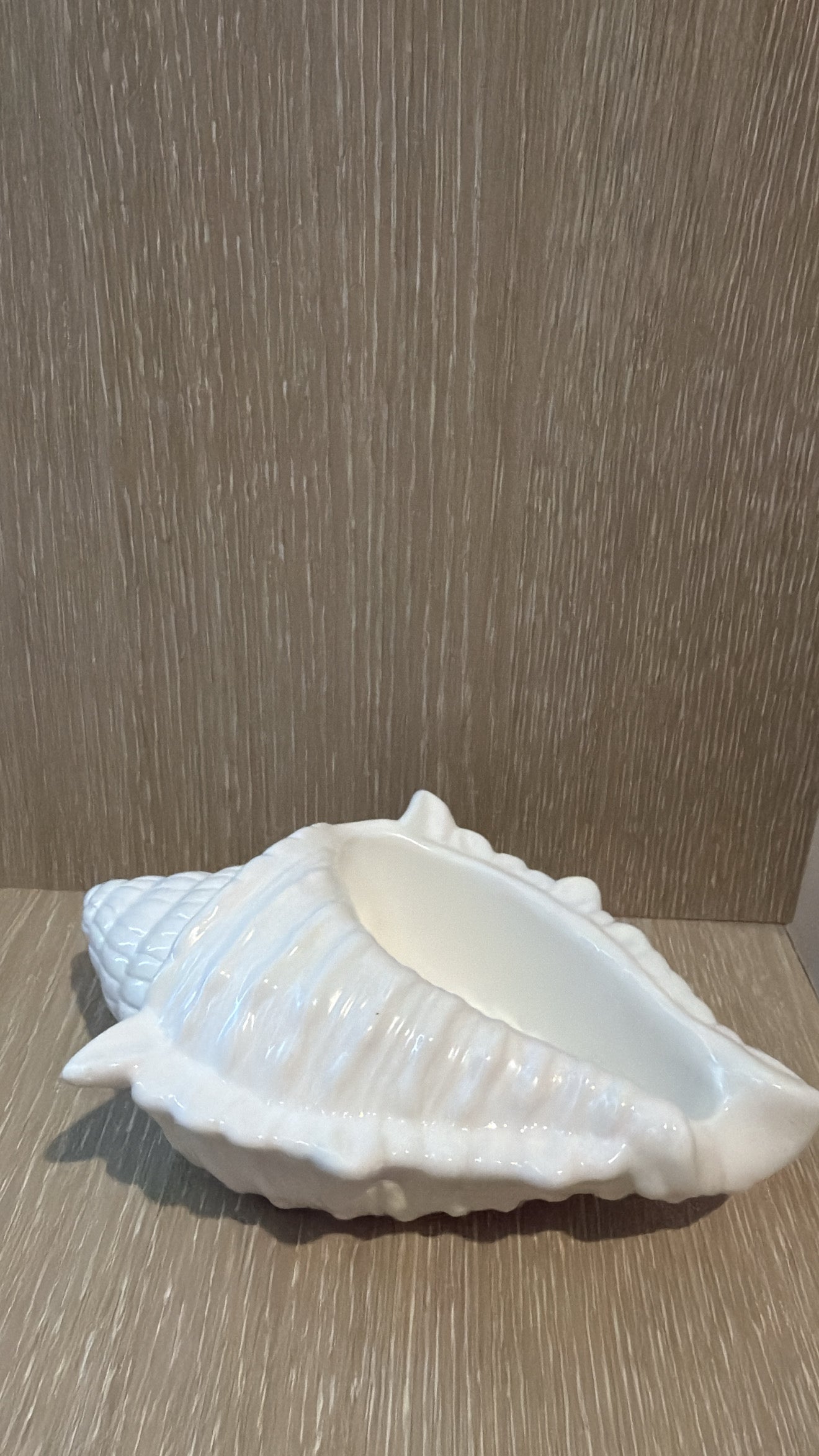 Medium White Shell